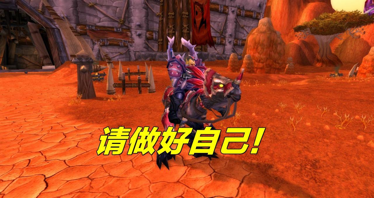 tbc奶萨副本都插什么图腾（tbc物理队奶萨怎么玩）