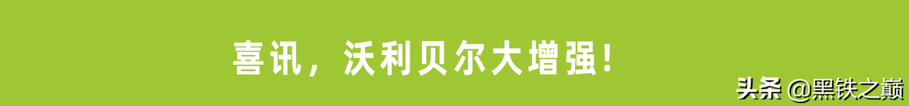 金铲铲之战半神狗熊出装（金铲铲半神拉面熊各种玩法讲解）