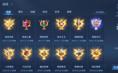 王者荣耀成就级别图标（王者荣耀成就图标展示）