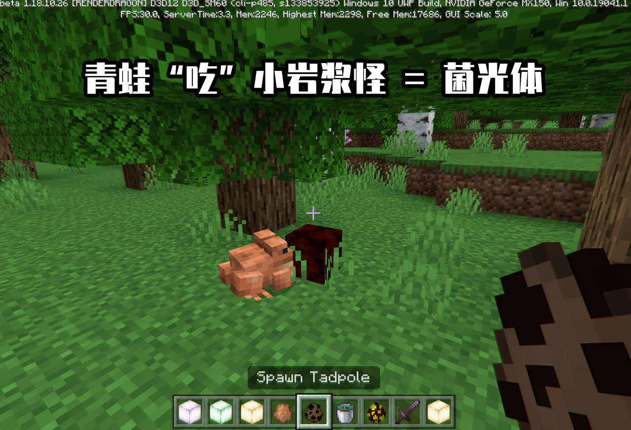 我的世界美西螈在哪里找（我的世界1.19基岩版详解）