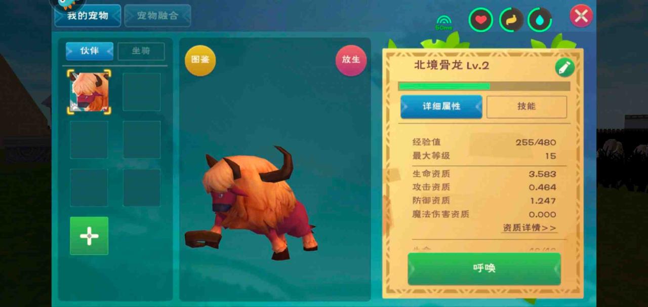 创造与魔法里什么飞行坐骑最好驯服（创造与魔法云斑鹦鸟饲料怎么做）