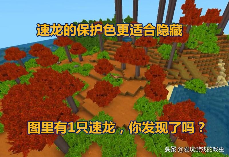 迷你世界的龙在哪里（迷你世界里的龙怎么找）