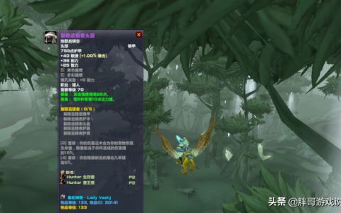魔兽世界怀旧服猎人T5套装真正用法（怀旧服TBC猎人T5散件护腿搭配）