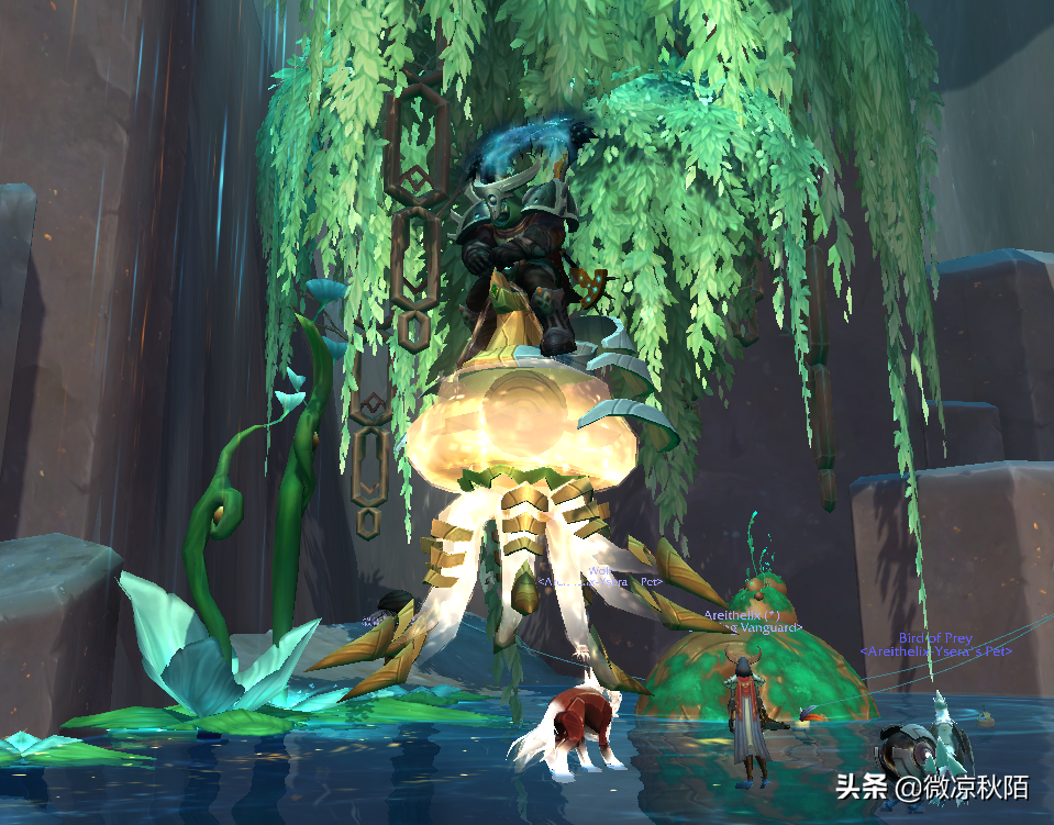 魔兽世界必出的坐骑（魔兽世界3个野外直接掉落的坐骑）
