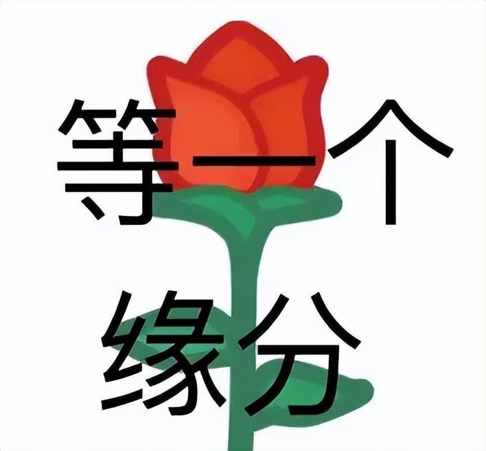 能够自由建造家园的游戏（新倩女幽魂筑梦家园资料片上线）