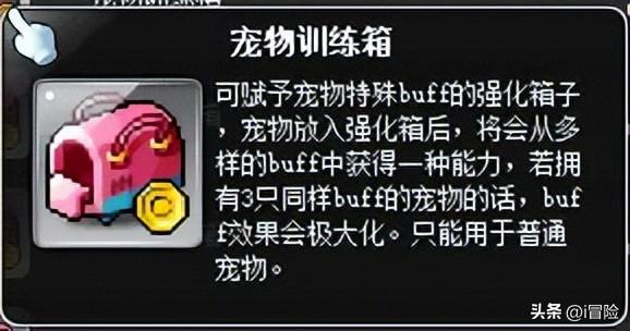 冒险岛宠物如何选择（冒险岛宠物资料详解及选择指南）