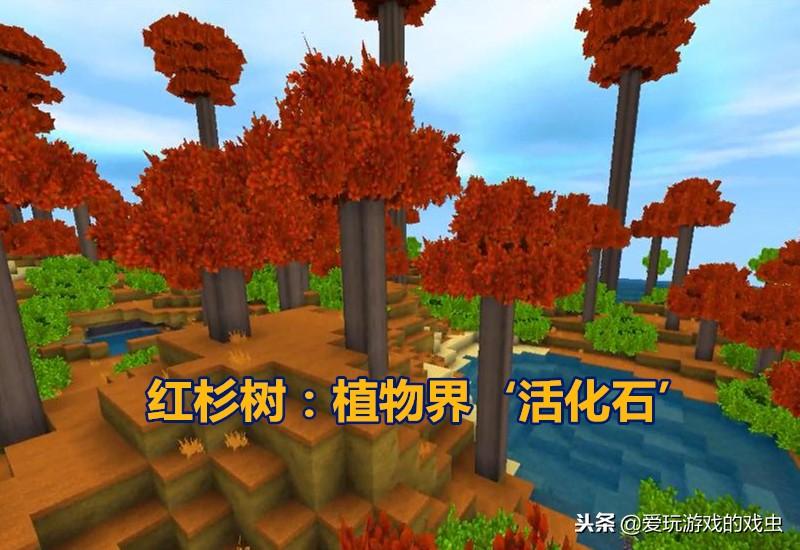 迷你世界的龙在哪里（迷你世界里的龙怎么找）
