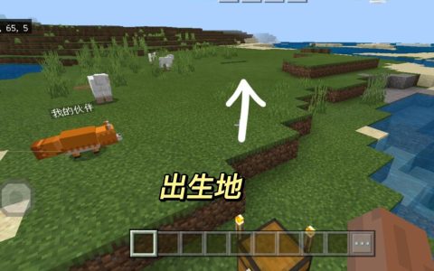 我的世界全是村庄地图种子（我的世界最富的十个铁村庄种子）