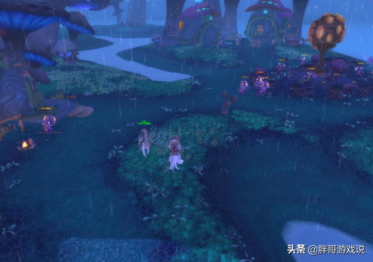 赞加沼泽哪里好钓鱼（魔兽怀旧服赞加沼泽如何升级）