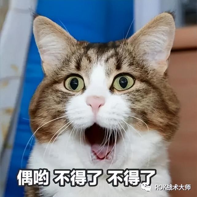 万国觉醒6代步兵骑兵谁厉害（万国觉醒六代步兵转盘将技能解读）
