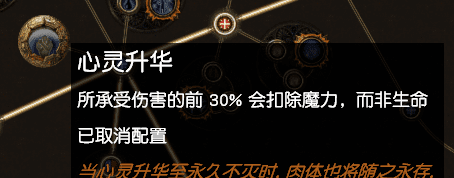 流放之路转伤防御机制（流放之路防御机制各种表现和作用）