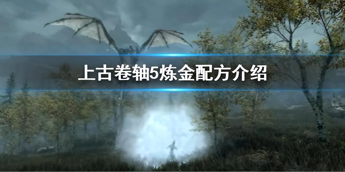 上古卷轴5值钱的炼金配方（上古卷轴5最赚钱药剂配方）