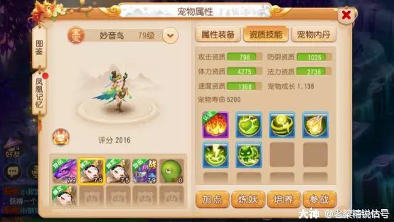 2022龙宫怎么加点（龙宫装备选择及技能升级顺序介绍）