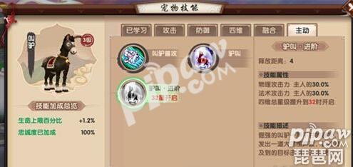 寻仙手游宠物捕捉地点大全（寻仙手游野外抓宠物坐标）