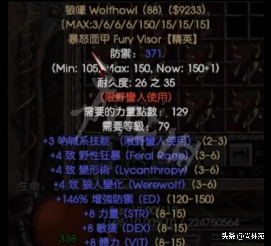 暗黑2所有暗金装备图鉴（暗黑二各职业专属暗金装备汇总）