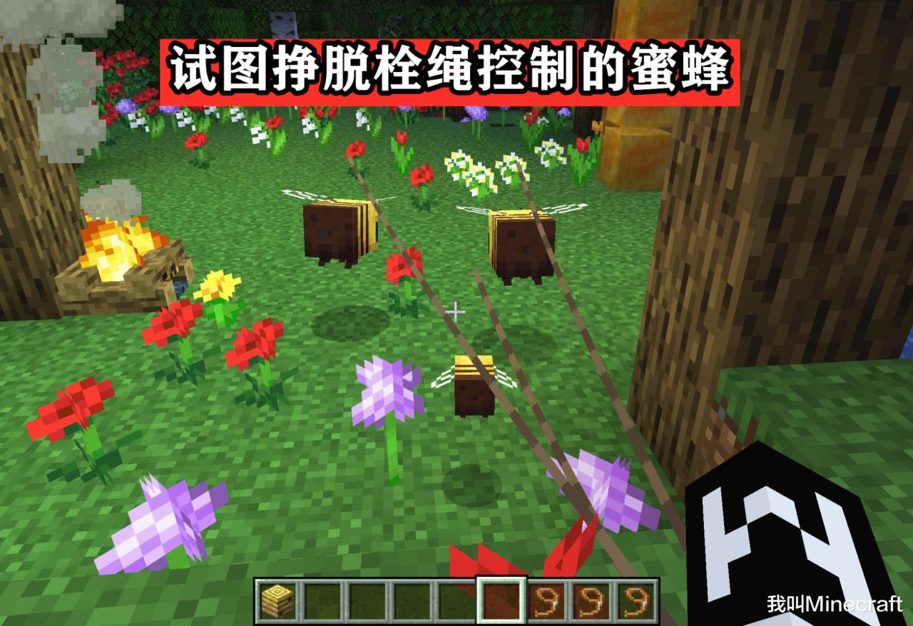 我的世界蜜蜂怎么养（我的世界养殖蜜蜂教程）