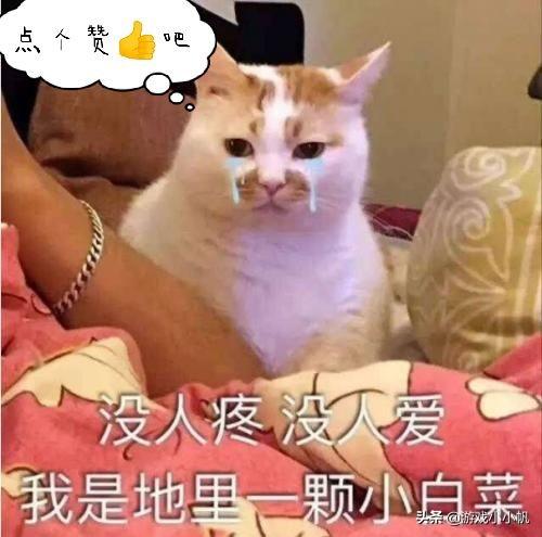 元气骑士刷天赋的植物（元气骑士植物buff天赋大全）