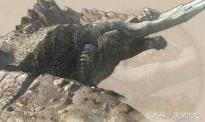 怪物猎人祖龙是最强吗（怪物猎人古龙中作战能力最强的是哪个）