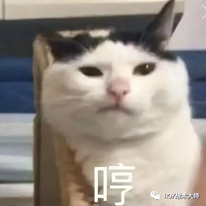 万国觉醒6代步兵骑兵谁厉害（万国觉醒六代步兵转盘将技能解读）