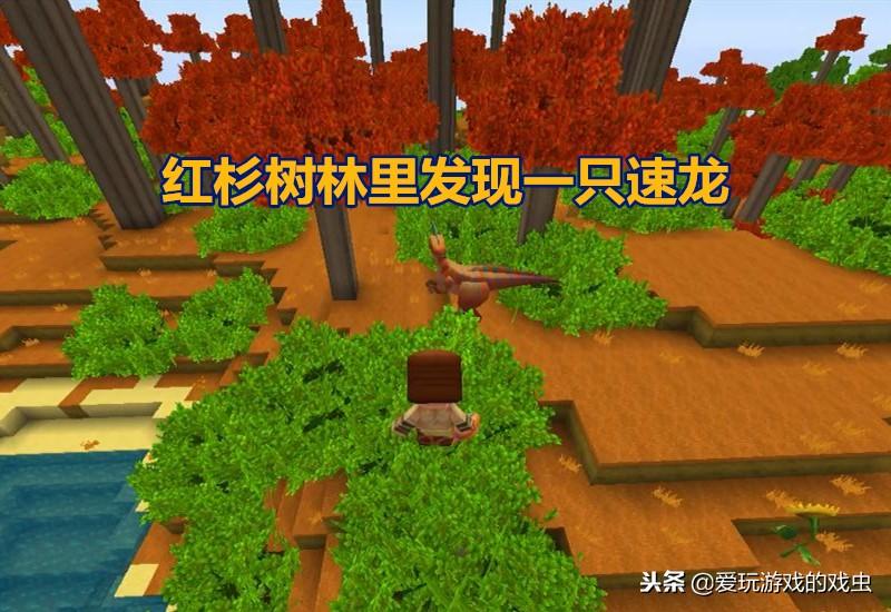 迷你世界的龙在哪里（迷你世界里的龙怎么找）