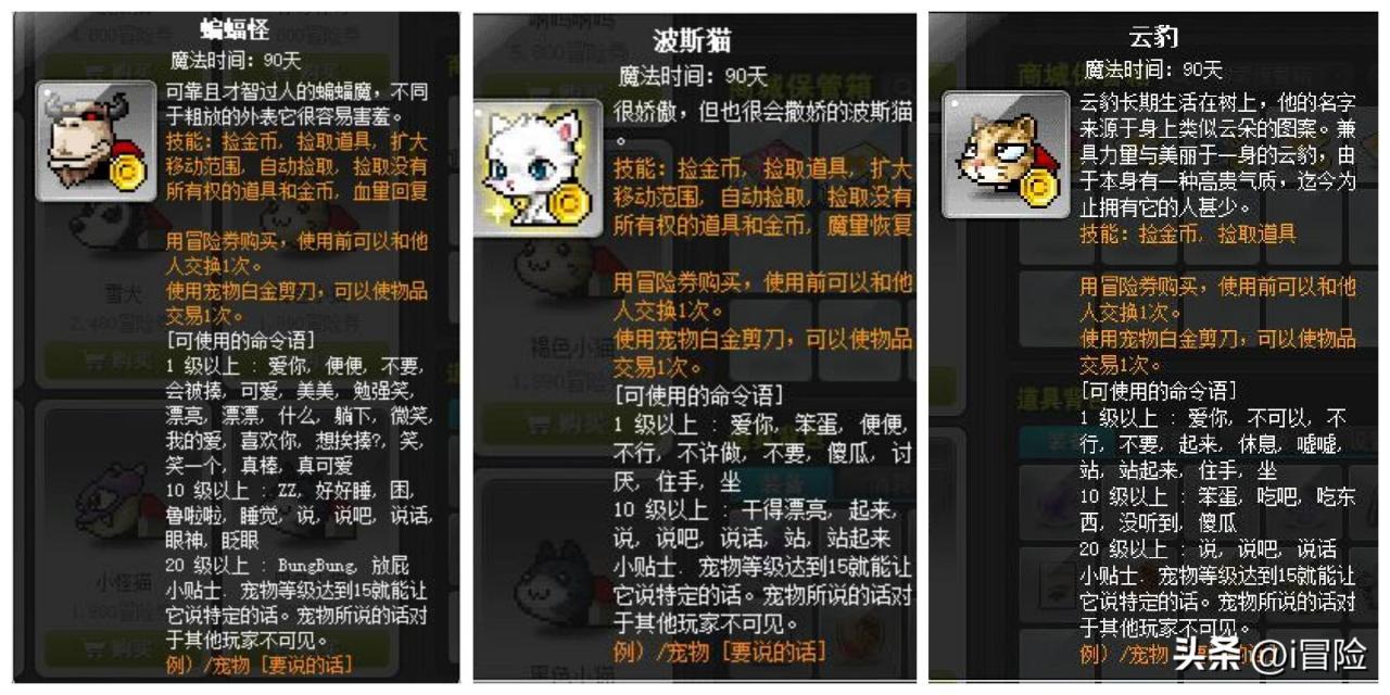 冒险岛宠物如何选择（冒险岛宠物资料详解及选择指南）
