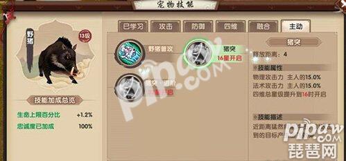 寻仙手游宠物捕捉地点大全（寻仙手游野外抓宠物坐标）