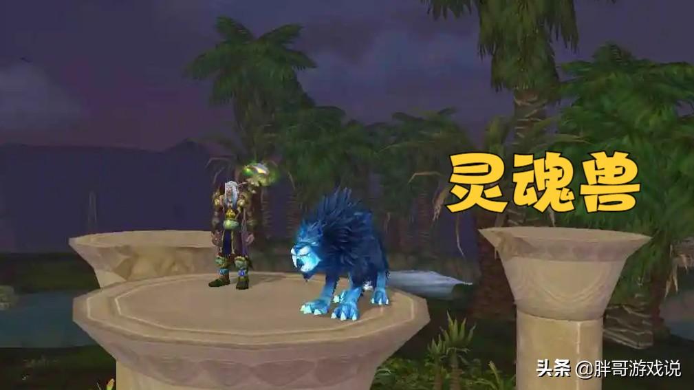 tbc猎人什么天赋厉害（tbc猎人pvp最强天赋）