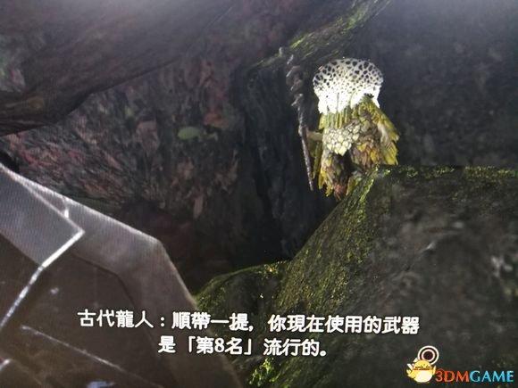 怪物猎人世界武器排行2022（怪物猎人世界武器使用率排名及配装）