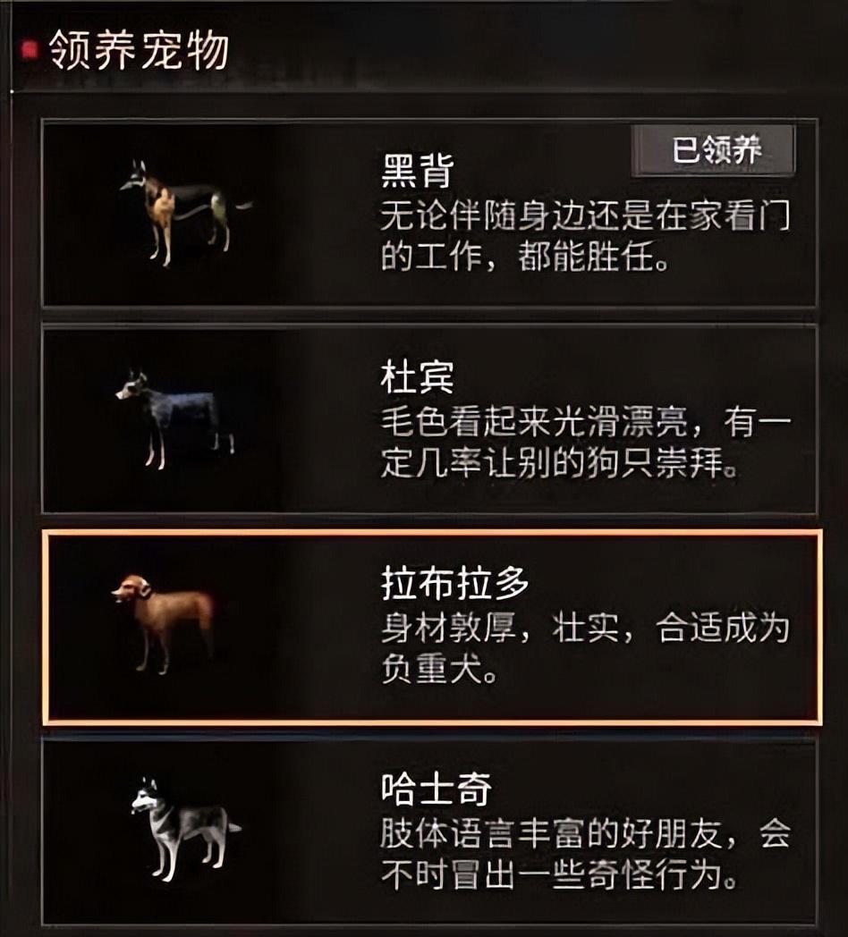 明日之后新手前期最强攻略（明日之后新手快速入门）