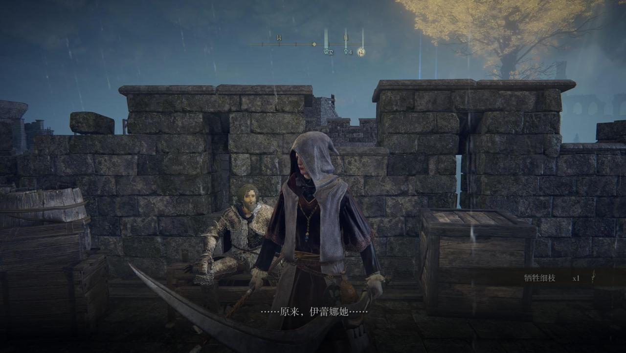 艾尔登法环所有支线顺序（艾尔登最全最细全支线流程推荐）