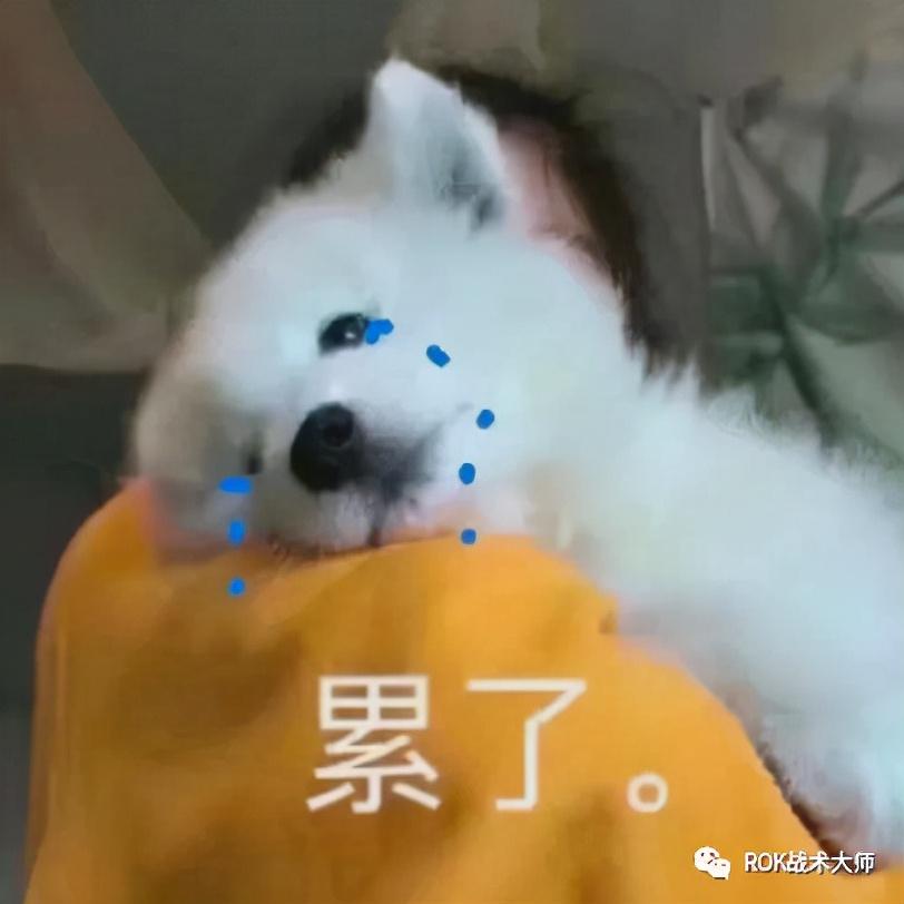 万国觉醒新版怒海争锋怎么玩（万国觉醒怒海争锋各兵种船详细打法）