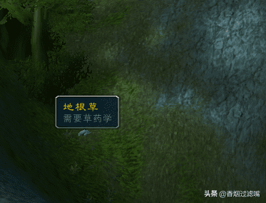 魔兽世界各类草药需要的技能点（魔兽双采技能组合之草药学指南）