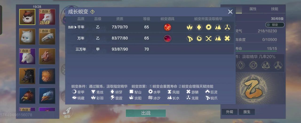 妄想山海中耳鼠是否值得练（妄想山海中耳鼠培养思路）