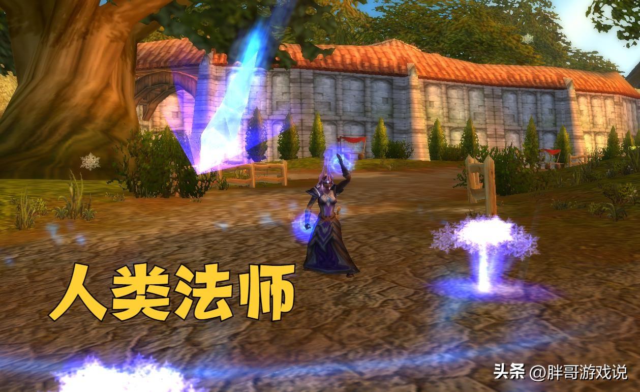 魔兽世界最强的种族（魔兽世界十大职业最强种族搭配）