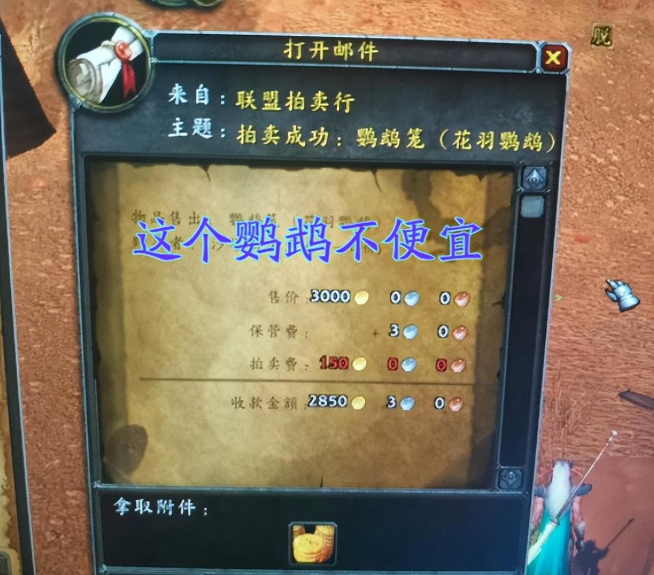 魔兽世界花羽鹦鹉（魔兽世界鹦鹉怎么获得）