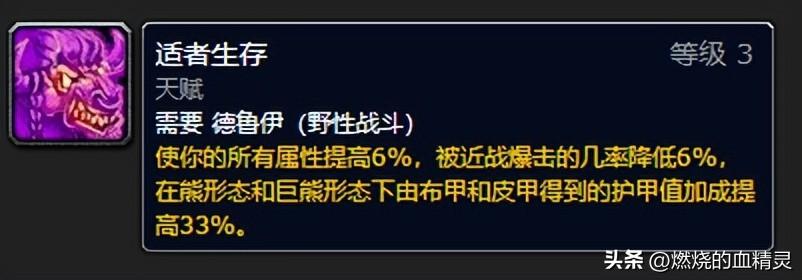 wlk熊坦毕业装备推荐（魔兽wlk团本前期德鲁伊坦克毕业装备）