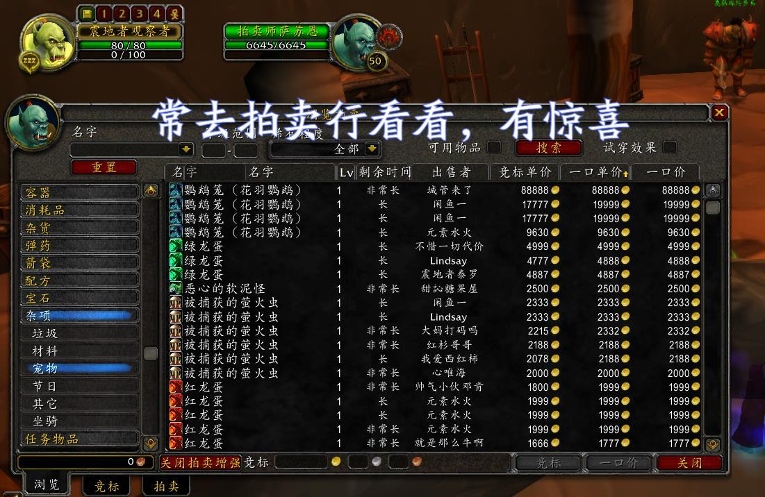 魔兽世界花羽鹦鹉（魔兽世界鹦鹉怎么获得）