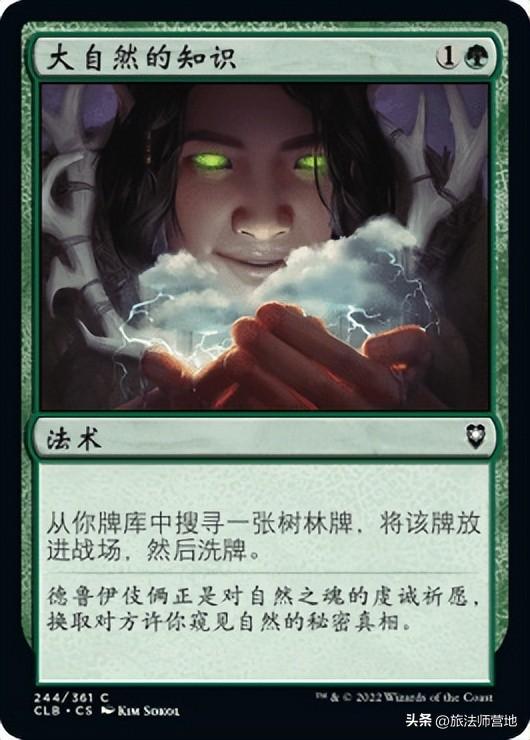 炉石传说天梯卡组2022（炉石传说天梯前十卡组）