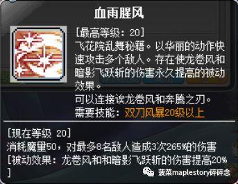 冒险岛暗影双刀装备推荐（冒险岛暗影双刀职业玩法教学）