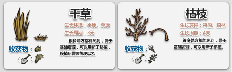 饥荒联机版秋冬怎么度过（饥荒联机版秋季及冬季生存图文攻略）