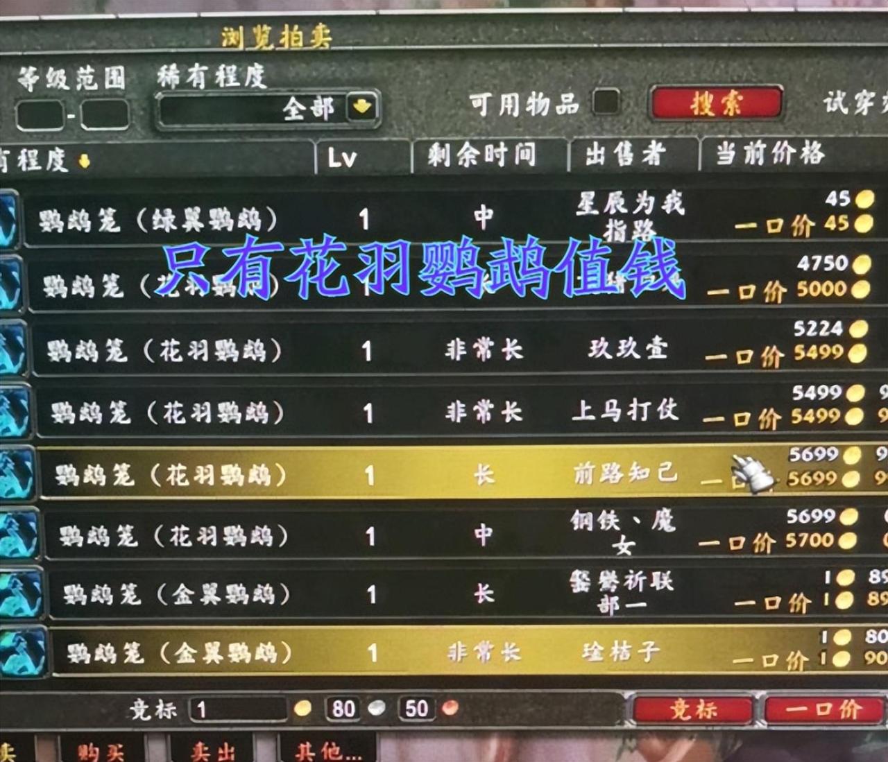 魔兽世界花羽鹦鹉（魔兽世界鹦鹉怎么获得）