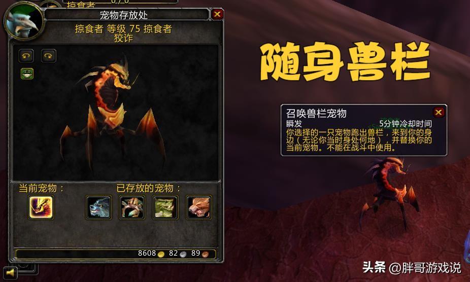 魔兽世界猎人稀有宝宝大全（魔兽世界猎人宠物机制详解）