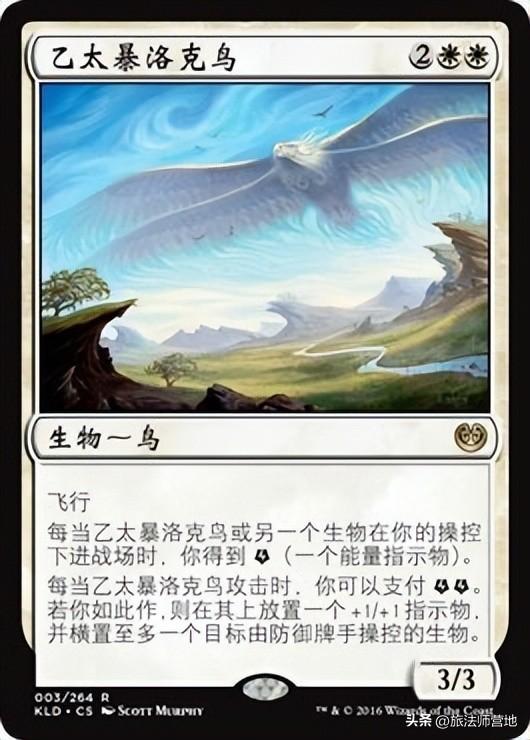 炉石传说天梯卡组2022（炉石传说天梯前十卡组）