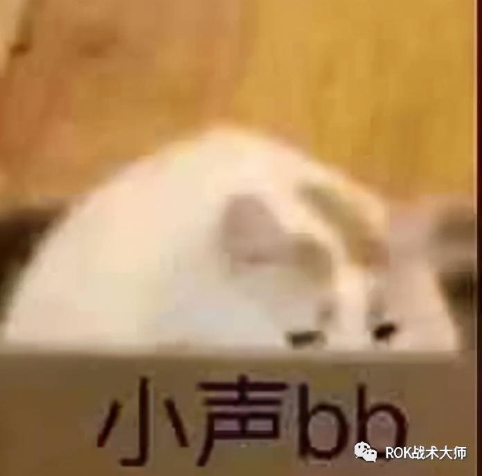 万国觉醒新版怒海争锋怎么玩（万国觉醒怒海争锋各兵种船详细打法）