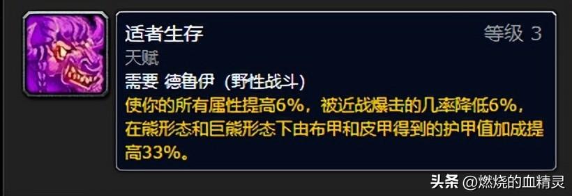 wlk熊坦毕业装备推荐（魔兽wlk团本前期德鲁伊坦克毕业装备）