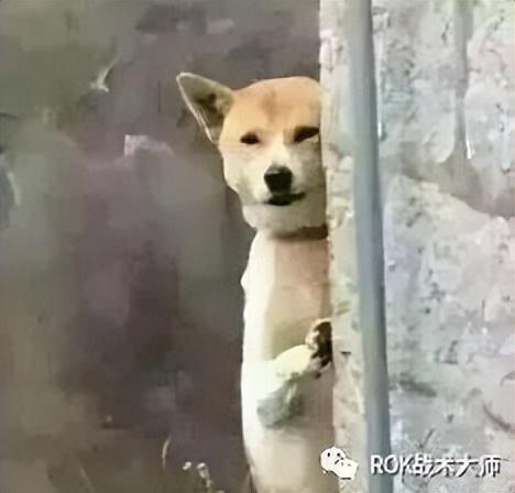 万国觉醒争分夺秒活动怎么玩（万国觉醒争分夺秒活动攻略）