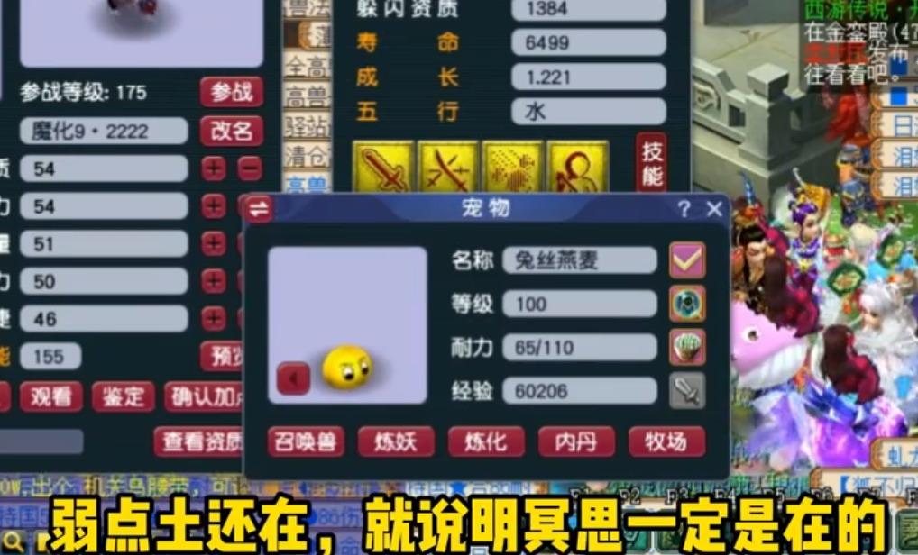 梦幻打书技能位置图（梦幻打书技能搭配攻略）