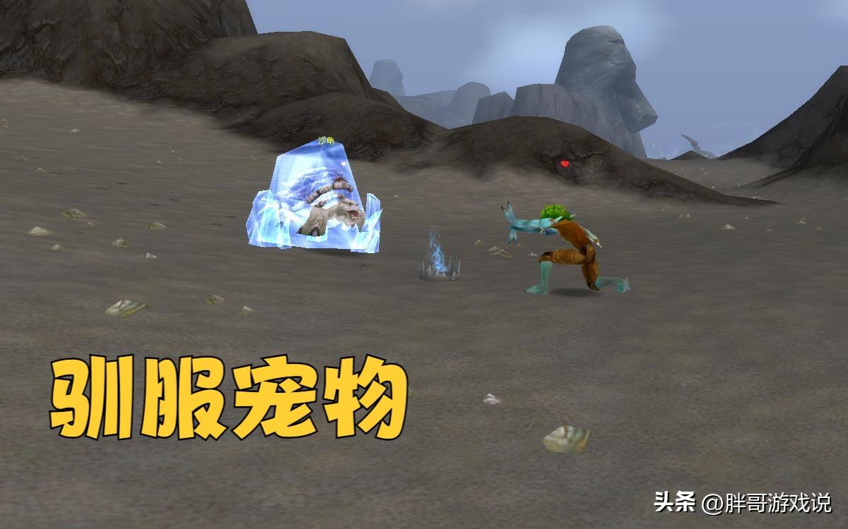 魔兽世界猎人稀有宝宝大全（魔兽世界猎人宠物机制详解）