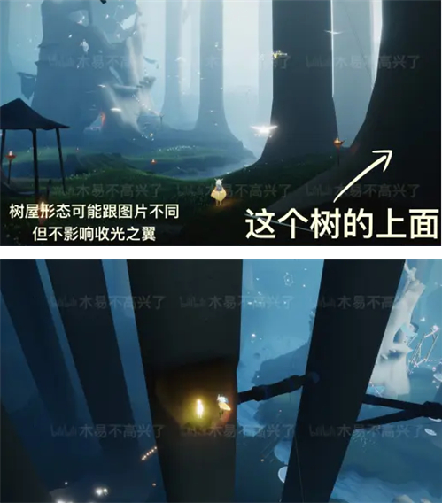 光遇云野所有小金人位置（光遇云野有几个小金人）