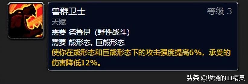 wlk熊坦毕业装备推荐（魔兽wlk团本前期德鲁伊坦克毕业装备）
